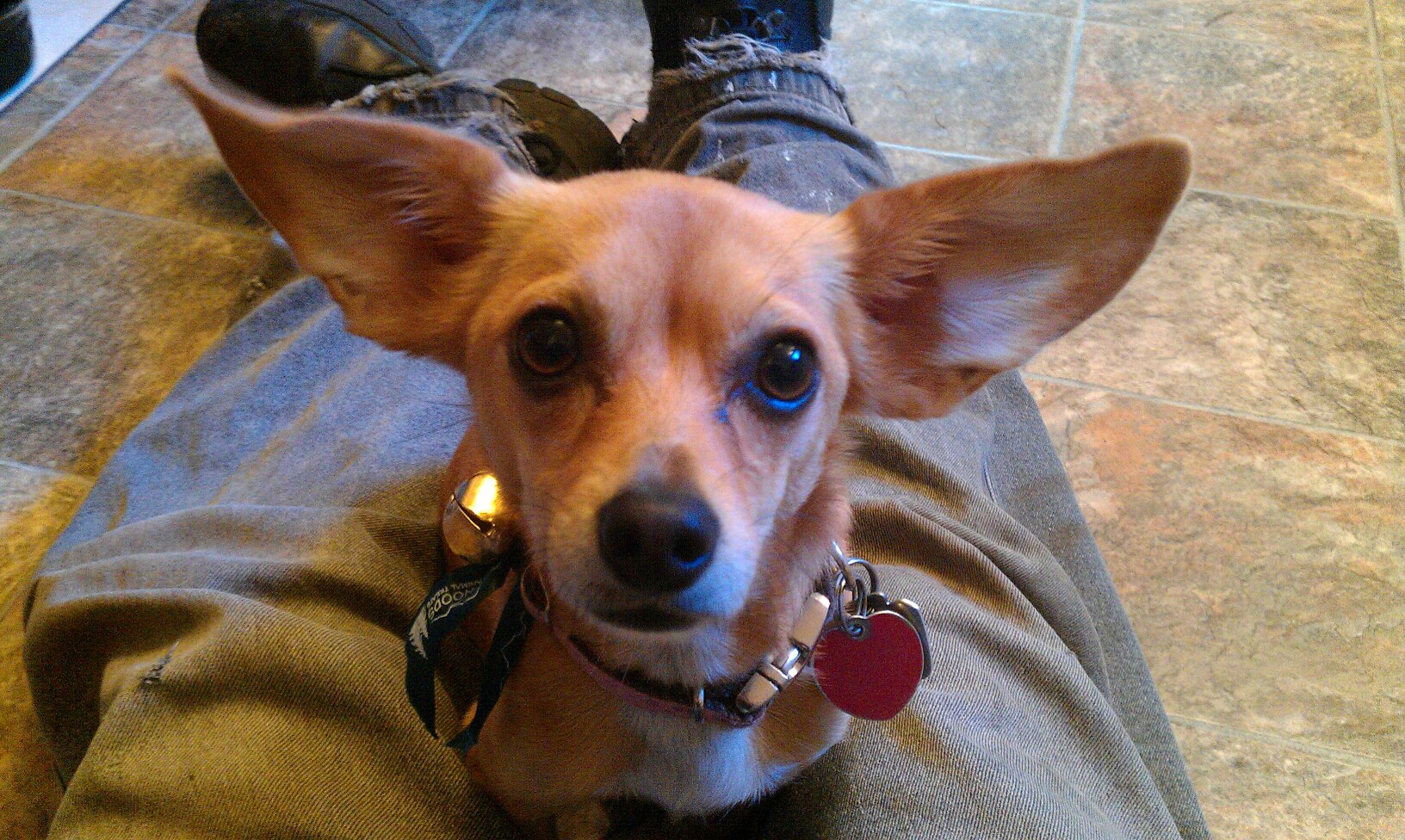 Tiny