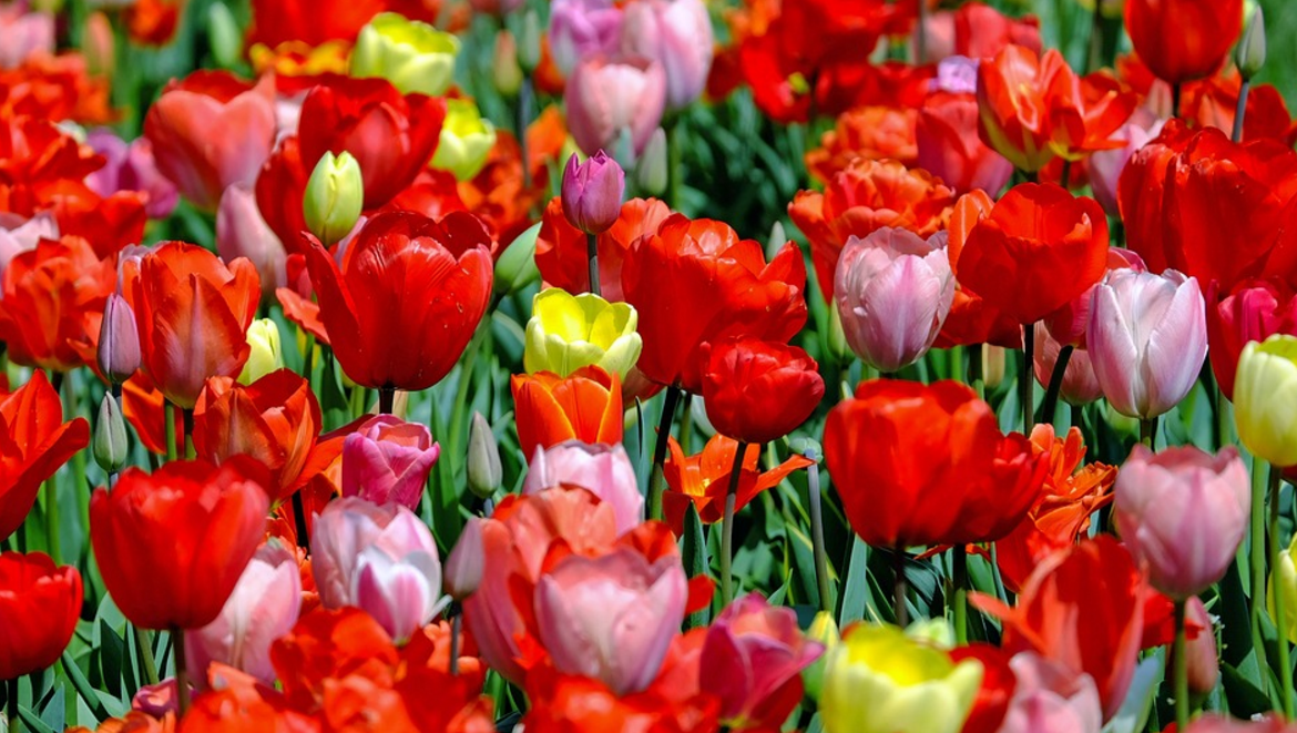 Blossom Into Spring With Our Equipment